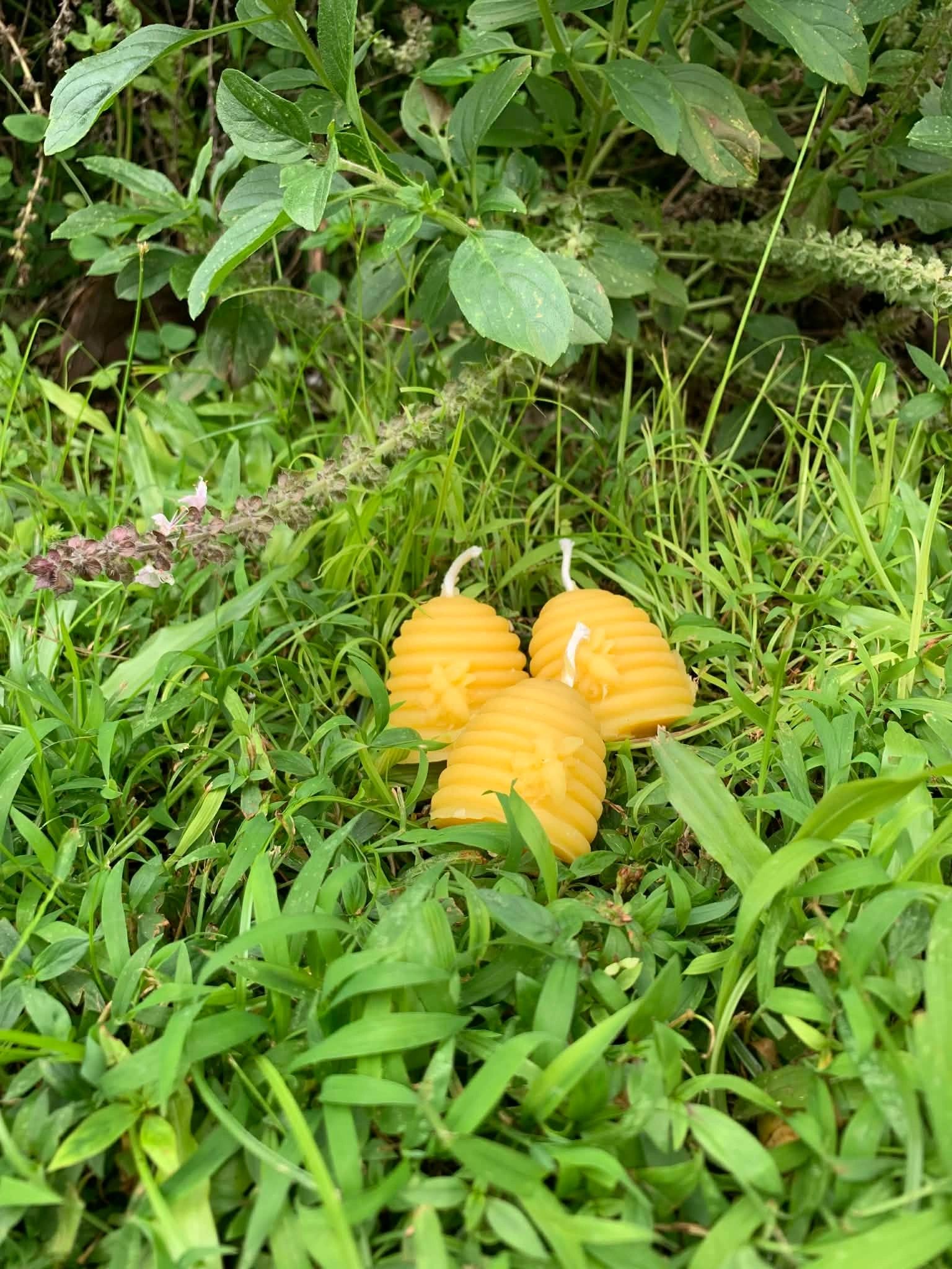 Beeswax hive candle