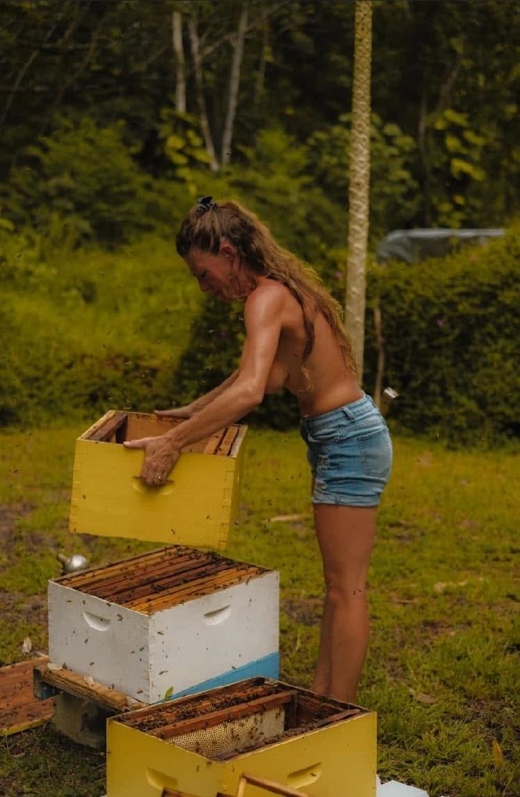 Playing with bees